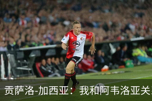 贡萨洛-加西亚：我和阿韦洛亚关系很好，他很信任我
